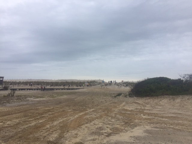 Sand dunes at Assateague